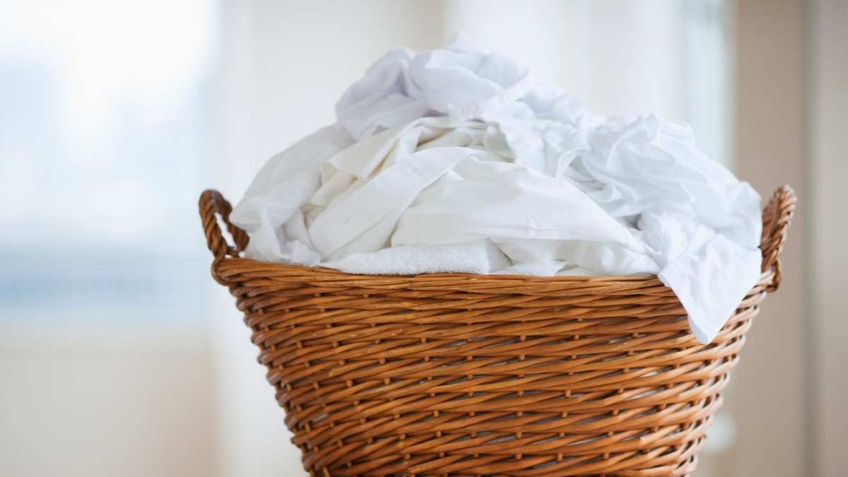 Does Adding a Dry Towel to the Dryer Speed Up Clothes Drying?