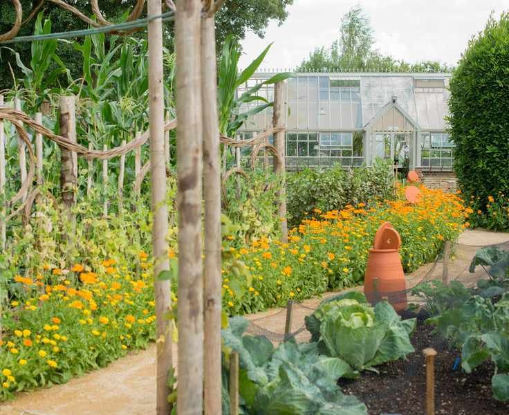 companion planting for sustainable gardening in the vegetable garden at Le Manoir