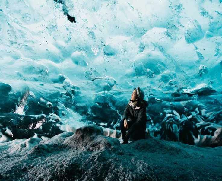 Top Nonprofits to Support on Giving Tuesday for Climate Action