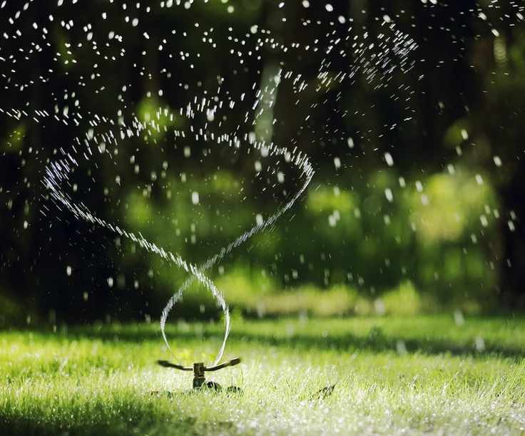Water lawn