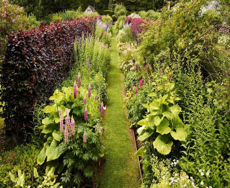Planting a Flower Bed: Your Essential Steps for a Vibrant Garden