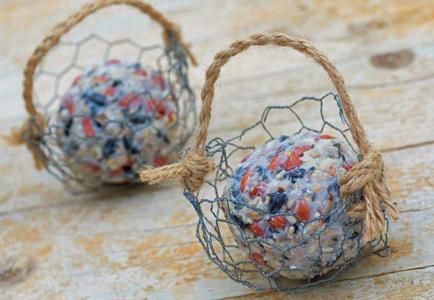 fat balls for birds