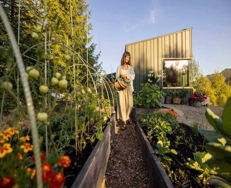 Affordable Gardening: Simple Ways to Start Your Own Garden