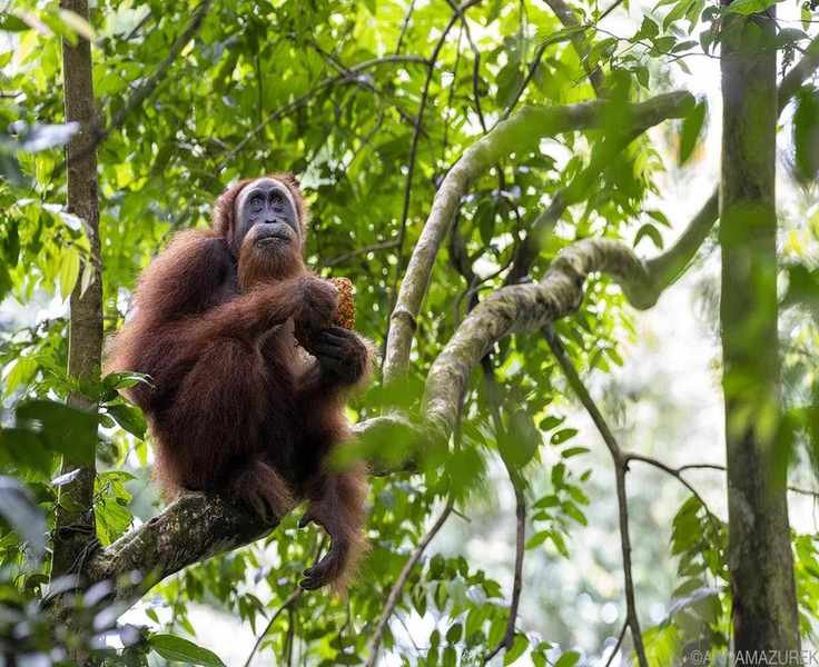 Exploring 2024: My Top Travel Highlights from Around the Globe