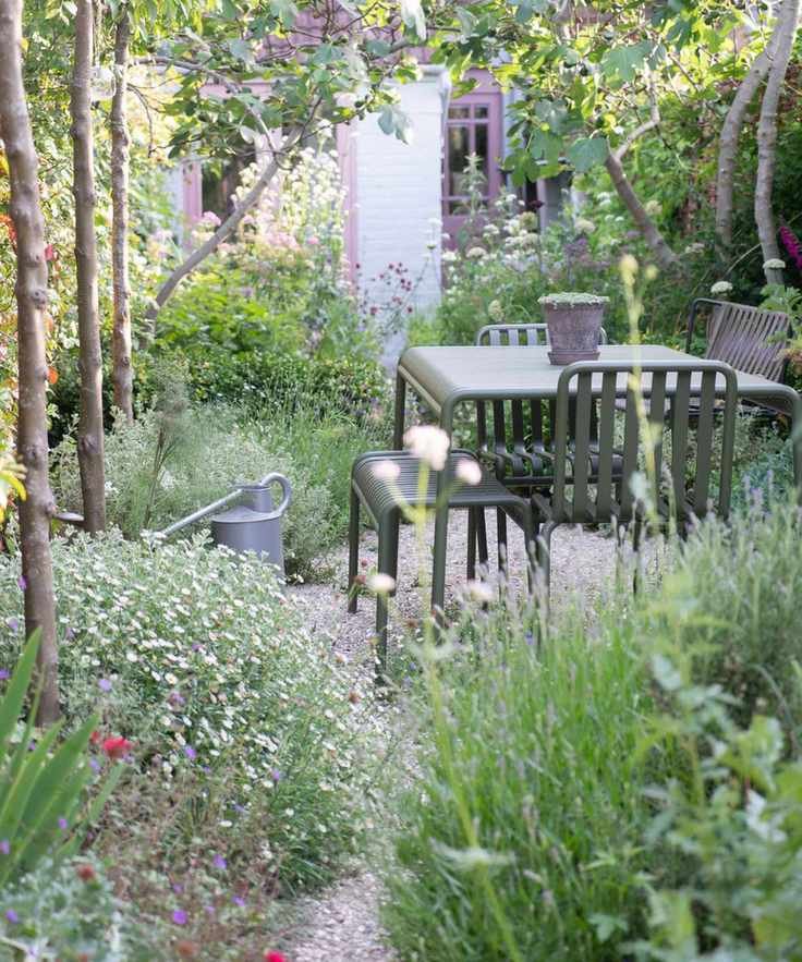 small densely planted garden with fig tree canopy