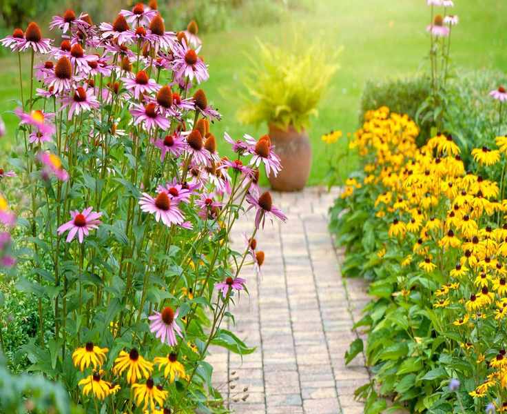 7 Low-Maintenance Backyard Ideas for Stunning Outdoor Spaces