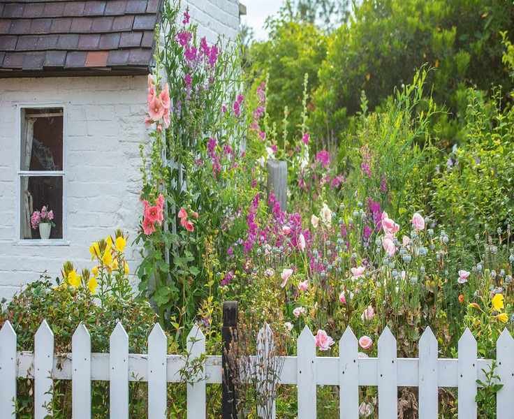 Essential Garden Tasks to Tackle Before Your Vacation
