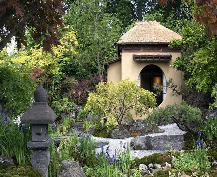 Essential Mulching Tips for Thriving Japanese Maples This Summer