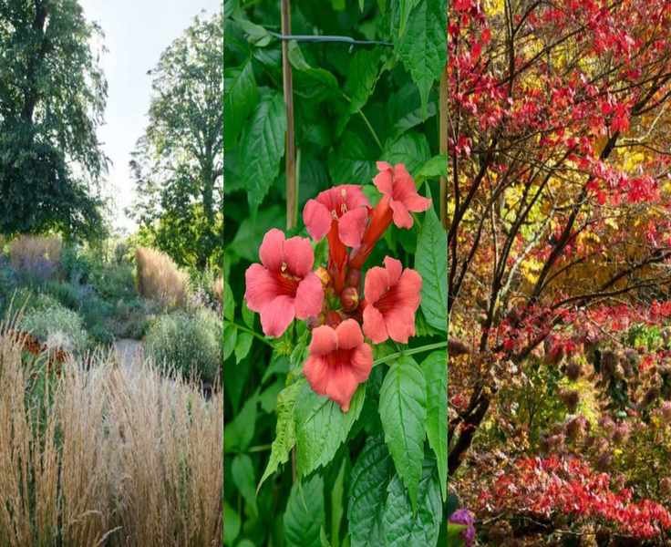 Fall Garden Planning: Timing for Vibrant Pots, Beds, and Borders