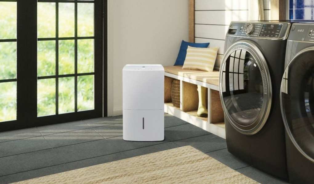 Best dehumidifier: our top picks to reduce mold and bacteria at home