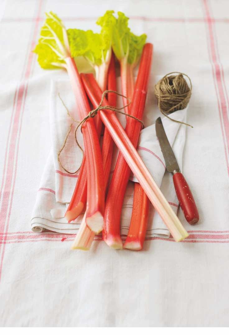 forced rhubarb on white cloth