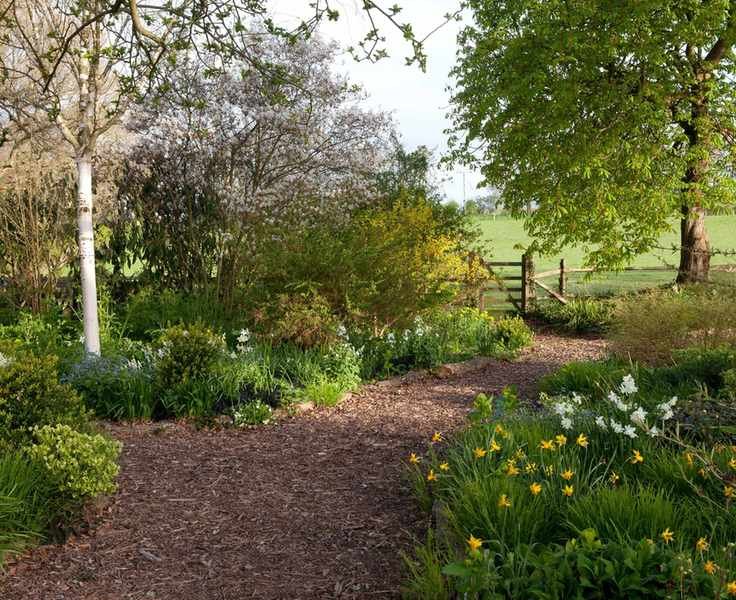 Garden path made from bark chippings in woodland garden area