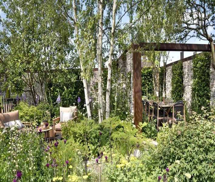 Explore Soft Modernism: A Trendy Approach to Garden Design